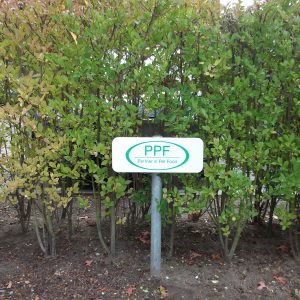 parkeerborden